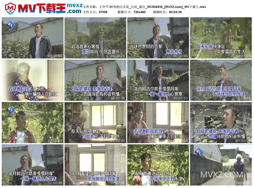 王中平-阿母的白头发_台语_流行_MC502935